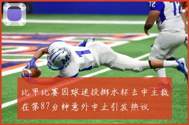 比甲比赛因球迷投掷水杯击中主裁在第87分钟意外中止引发热议