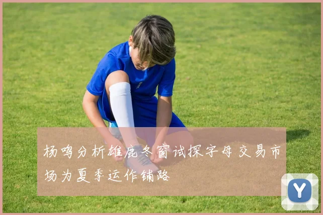 杨鸣分析雄鹿冬窗试探字母交易市场为夏季运作铺路