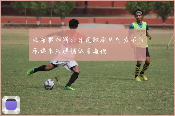 法布雷加斯公开道歉承认行为不当承诺未来遵循体育道德