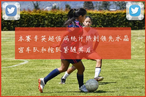 本赛季英超伤病统计热刺领先水晶宫车队和枪队紧随其后