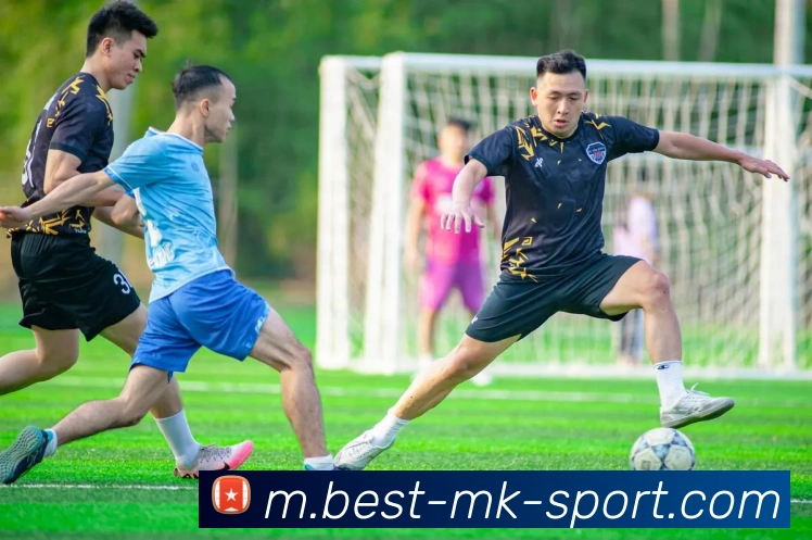 MK体育平台生态图