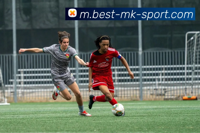 MK体育APP 封面图