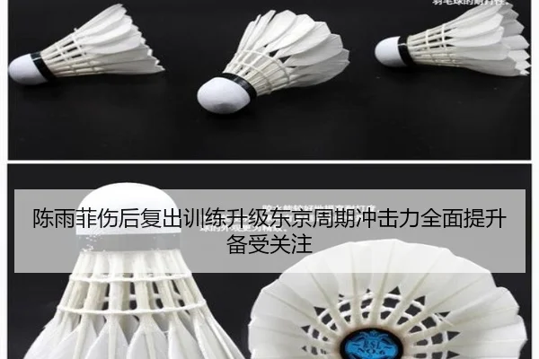 陈雨菲伤后复出训练升级东京周期冲击力全面提升备受关注 - MK